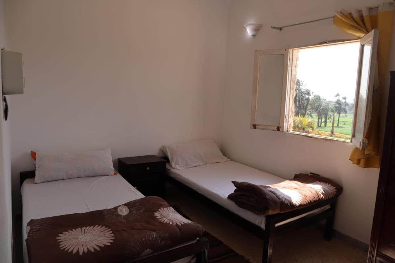 Rose Guest House Луксор Екстер'єр фото