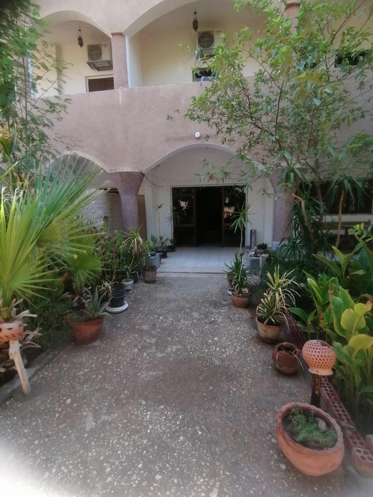 Rose Guest House Луксор Екстер'єр фото