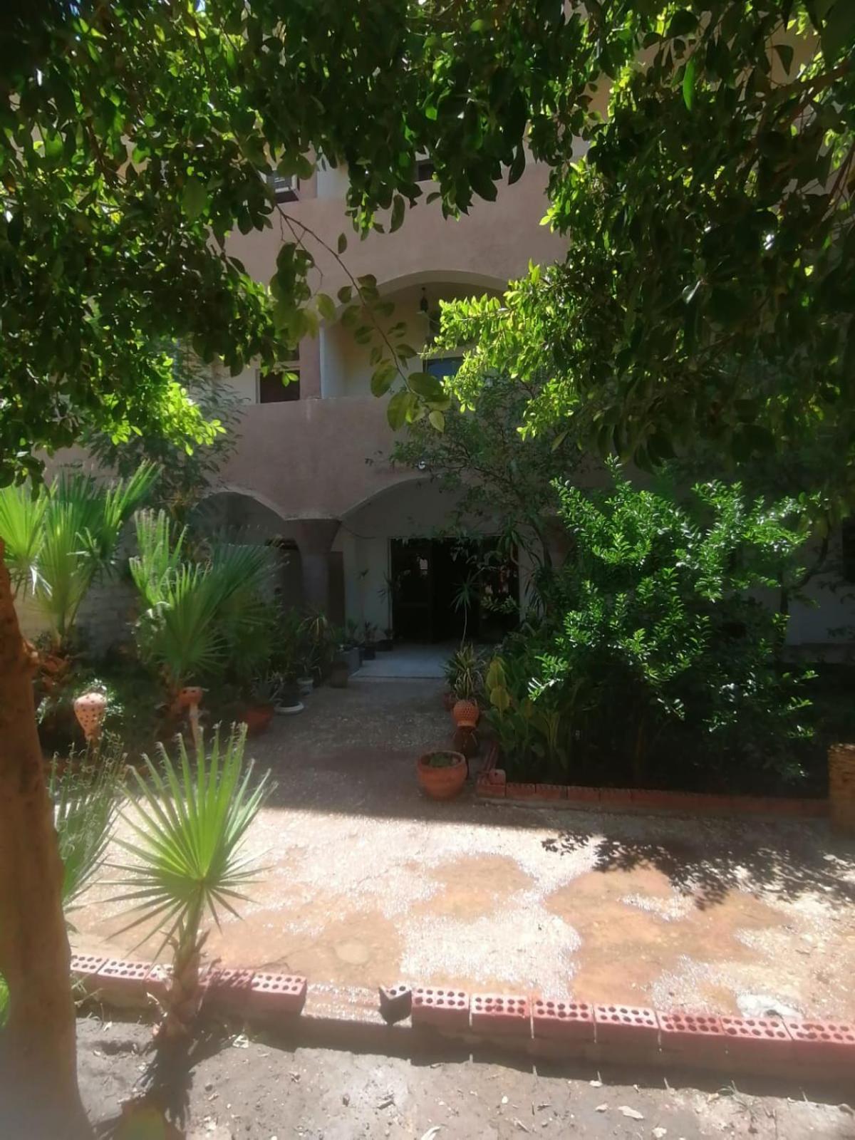 Rose Guest House Луксор Екстер'єр фото